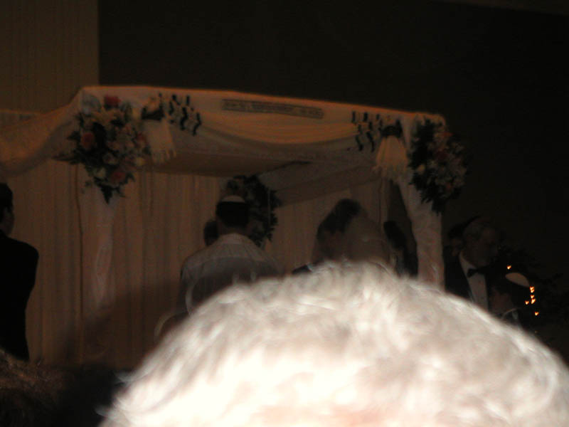 PICT0042
